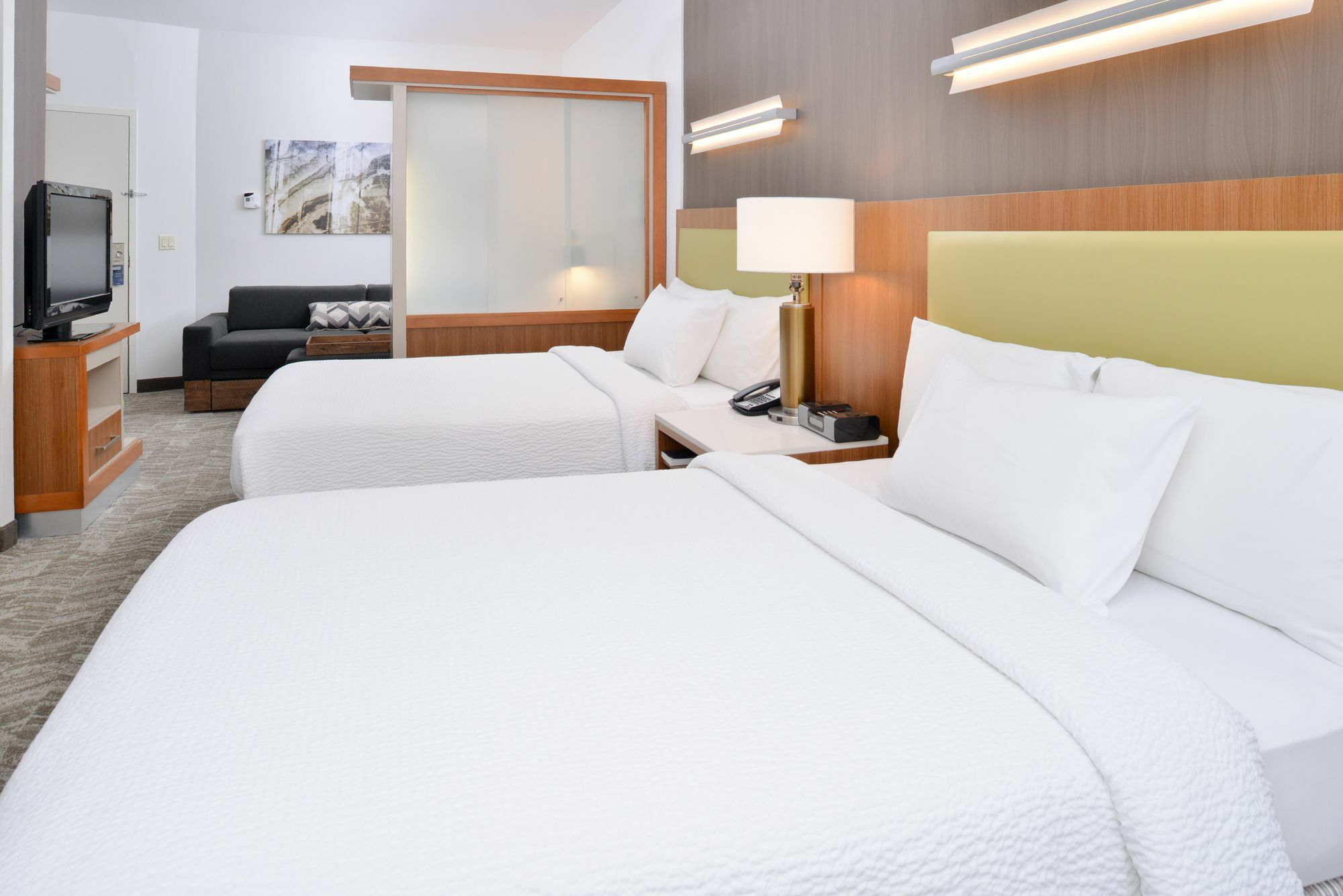 Springhill Suites Ashburn Dulles North Bagian luar foto